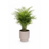 POLİVAHOME Vega Model Büyük Dekoratif Modern Saksı Ve Vazo 20 Lt ( 31,5 Cm X 32 Cm ) İçsiz