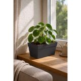 POLİVAHOME Yalı Saksı 6,5 Lt 30 Cm Plastik Bahçe Balkon Veranda Çit Küpeşte Çiçek Saksısı