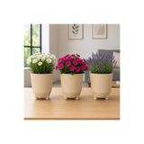 Poliwork 3'lü Set 1 Litre Ayaklı Luna 13 Plastik Saksı Dekoratif Çiçek Saksısı Modern Bitki Saksısı