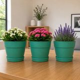 Poliwork 3'lü Set 1,1 Litre Manolya 13 Plastik Saksı Tabaklı Dekoratif Çiçek Saksısı Drenajlı Modern Bitki Saksısı - Yeşil