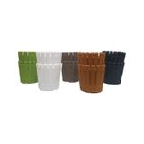 Poliwork Akasya Kaktüs Saksısı Pastel Mix 5,5 cm 10'lu 0,1 Lt