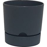 Poliwork Begonya 12 cm Antrasit Saksı