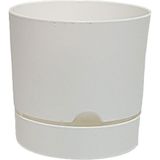 Poliwork Begonya 15 cm Beyaz Saksı
