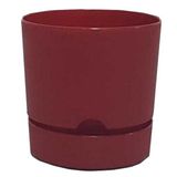 Poliwork Begonya 15 cm Bordo Saksı