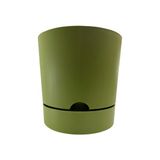 Poliwork Begonya 15 cm Yeşil Tabaklı Saksı