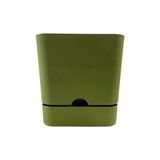 Poliwork Begonya 16 cm Yeşil Kare Tabaklı Saksı