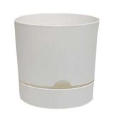 Poliwork Begonya 9 cm Beyaz Saksı