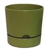 Poliwork Begonya 9 cm Yosun Yeşili Saksı