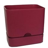 Poliwork Begonya Kare 13 cm Bordo Saksı