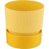 Poliwork Çizgi Desenli Tabaklı Mint Saksı 0,4 Lt – 9 cm Dekoratif Mint Yeşili Küçük Saksı