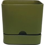 Poliwork Kare Saksı Tabaklı 2,3 Lt – 16x15 cm Modern Kare Tasarım Tabaklı Saksı - Yağ Yeşili