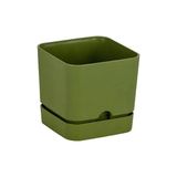 Poliwork Kare Tabaklı Modern Saksı 1.5 Lt 130x120 mm - Geometrik Tasarım Saksı - Yağ Yeşili