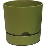 Poliwork Yuvarlak Tabaklı Saksı 0,5 Lt - 9 cm Mini Fide ve Çiçek Saksısı - Yeşil - 500 ml