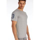 Polo 80150 Gri Erkek T-shirt