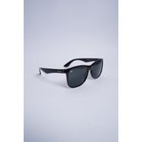 Polo Black PB 109 C2 Füme Erkek Güneş Gözlüğü