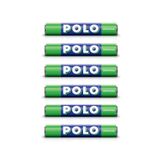Polo Delikli Nane Şekeri 34 gr X 6 Adet