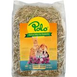 Polo Herbal Mix For Rodents 1000 gr Kemirgen Otu