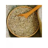 Polo Premium Sade Kanarya Yemi (1. Sınıf Aspur) 1Kg Açık
