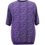 Polopepe Büyük Beden Erkek Tişört Metraj Baskılı - Mor - 3XL
