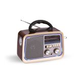 PoloSmart FS49 El Fenerli Sunny Wood FM Radyo