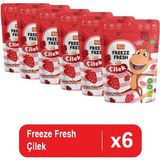 Pol's 6'lı Kukuli Freeze Fresh Dondurularak Kurutulmuş Çilek - 15 gr