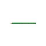 Polychromos Artist Kuru Boya Kalemi 112 Leaf Green (Yaprak Yeşili)