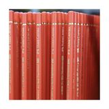 Polychromos Kuru Boya Kalemi Ahşap Kutu, 120 Renk - -- - Option-1