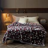 Polyester Vizon Kadife Polar Battaniye(Color14,200x230cm) | Çok Renkli Çoklu Boyutlar Kış Yatak Dekoru