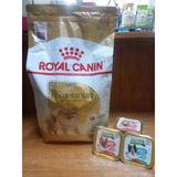 Pomeranian Adult Yetişkin Köpek Kuru Maması 3 Kg+5 Adet Somon&Kuzulu Köpek Pate Konserve