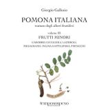 Pomona italiana ossia Trattato degli alberi fruttiferi. Frutti minori. Carobbo, giuggioli, lazeroli, melograno, palma dattilifera, pistacchi (Vol. 3)