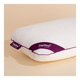 Pony Yatak Papıllow Innovation Coolplus Pro Visco King 60x40x15 cm Yastık