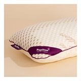 Pony Yatak Papıllow Innovation Organic Cotton Lateks King 60x40x15 cm Gold Yastık