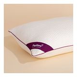 Pony Yatak Papıllow Innovation Tencel Micrajel 50x70 cm Yastık