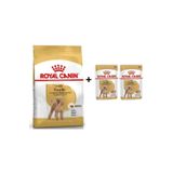 Poodle Adult Köpek Maması 3 kg + 2 Adet Yaş Mama