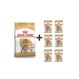 Poodle Adult Köpek Maması 3 Kg + 6 Adet Yaş Mama