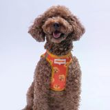 Poodle Air-mesh Göğüs Tasması Kedi Köpek Göğüs Tasması