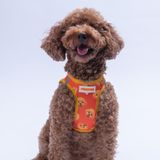 Poodle Air-mesh Göğüs Tasması Kedi Köpek Göğüs Tasması