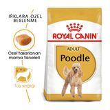 Poodle Yetişkin Kuru Köpek Maması 3Kg