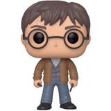 Pop Harry Potter 2 Asa Exclusive Figür Limited Edition
