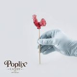 POPLIX Horoz Şekeri 12 gr | 50 Adet Hediyelik | Nostaljik Lolipop | Geleneksel El Yapımı - 1 Adet