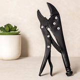 Popüler Sepet 10 Inç (250 Mm) Kilitli Ayarlı Komple Metal Pense