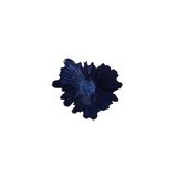Porland 04FIA002826 Coralline 31 cm Kase