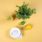 Porland 240 cc Beyaz Sosluk ve Limon Sıkacağı