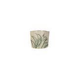 Porland Aloe 13x11 cm Saksı