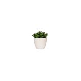 Porland Aloe Vera 10 cm Mini Yapay Bitki
