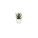 Porland Aloe Vera 15 cm 6 Adet Mini Yapay Bitki