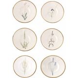Porland Botanical 11 cm Renkli Porselen Çay Tabağı 6 Parça Altın Yaldızlı Tasarım
