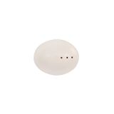 Porland Oasis Alumilite 4 cm Tuzluk