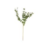 Porland OKALİPTUS YAPAY ÇİÇEK 91CM 12 ADET