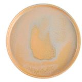 Porland Stoneware Savanna 30 cm 6 Adet Düz Tabak